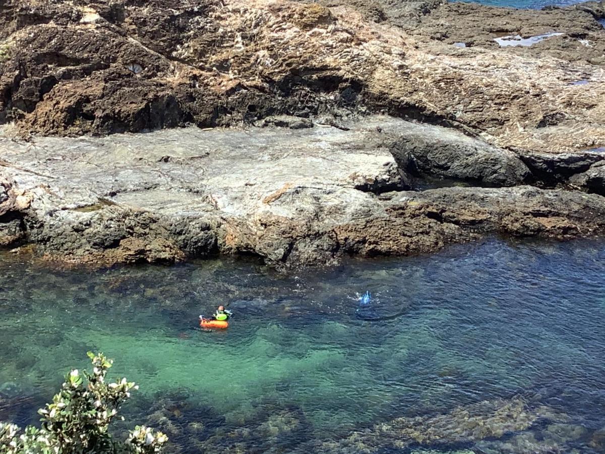 Chasing George Βίλα Port Macquarie Εξωτερικό φωτογραφία